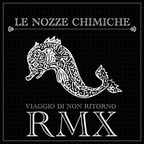 Download track Viaggio Di Non Ritorno (Sacrobosco Rmx) Le Nozze ChimicheSacrobosco