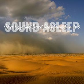 Download track Deep Egyptian Desert Sand Storm Sounds, Pt. 14 Elijah Wagner