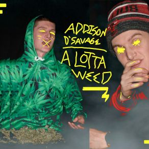 Download track Addidas Addison D 