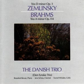 Download track Trio A Minor For Piano, Clarinet And Cello Op. 114: II. Adagio The Danish Trio