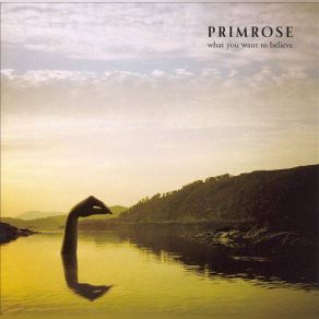 Download track Say's Enough Primrose