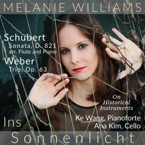 Download track Sonata, D. 821: I. Allegro Moderato (Arr. For Flute And Piano) Melanie Williams, Wang Ke, Ana Kim