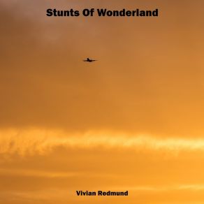 Download track Stunts Of Wonderland Vivian Redmund