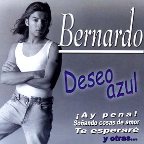 Download track No Le Digas Si La Ves Bernardo VázquezBernardo