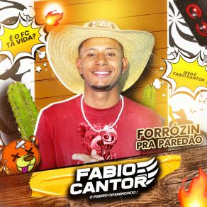 Download track Ta Brecado O Lança Fabio Cantor