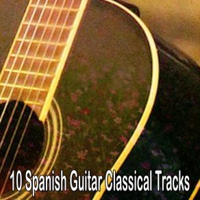 Download track The Carnival Of Venice Spanish Guitar Chill Out