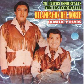 Download track Que Bonita Chaparrita Los Relampagos Del Norte