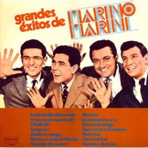 Download track Il Mazzo Di Mammole Marino Marini
