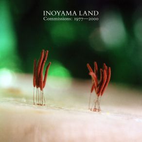 Download track Candy Floss INOYAMA-LAND