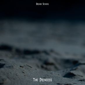 Download track The Princess Bridge School