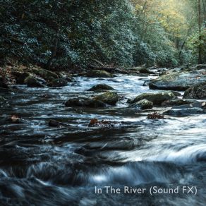 Download track Tranquil Stream In The River (Sound FX)