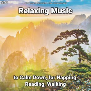 Download track Relaxing Music, Pt. 22 Relaxing Spa Music