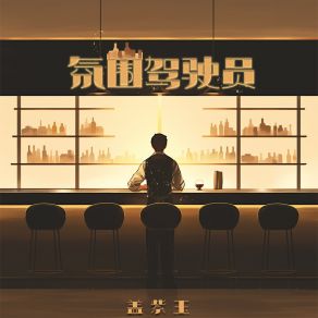 Download track 氛围驾驶员 (轻松版) 盖紫玉