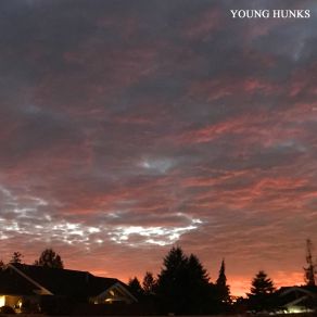 Download track Sleeping In The Young Hunks