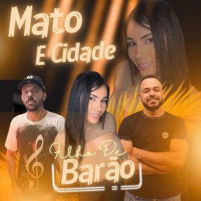 Download track Vê Nos Meus Stories Forró Filho De Barão