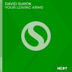 Download track Your Loving Arms (Extended Mix) David Surok