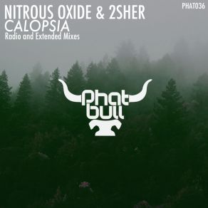 Download track Calopsia (Radio Edit) Nitrous Oxide, 2Sher