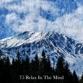 Download track Clearing The Mind SPA RELAXATION