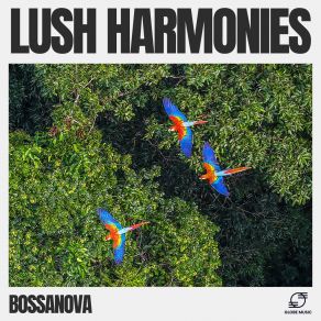 Download track Samba Harmony Bossanova