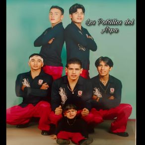 Download track Cuanto Vales LOS POTRILLOS DEL ARPA