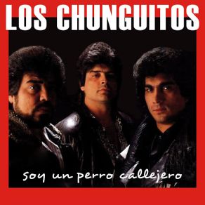 Download track Soy Un Perro Callejero Los Chunguitos