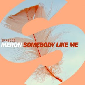 Download track Somebody Like Me (Original Mix) Meron