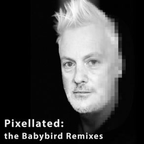 Download track Dead Bird Sings (Pixellay Remix) Pixellay