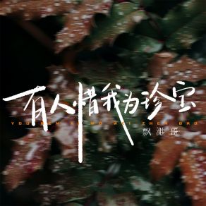 Download track 有人惜我为珍宝 (伴奏) 飘渺哥