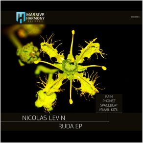 Download track Ruda (Ismail Kizil Remix) Nicolas LevinIsmail Kizil