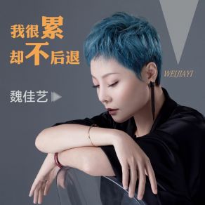 Download track 我很累却不后退 (DJ沈念版伴奏) 魏佳艺