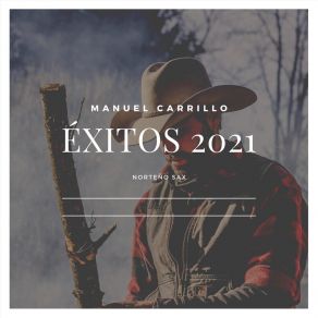 Download track Tus Recuerdos Manuel Carrillo