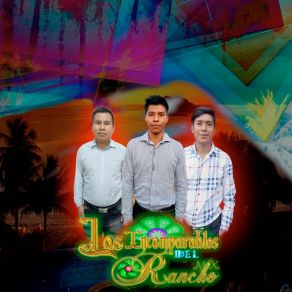 Download track Popurri De Cumbias Los Incomparables Del Rancho Mx