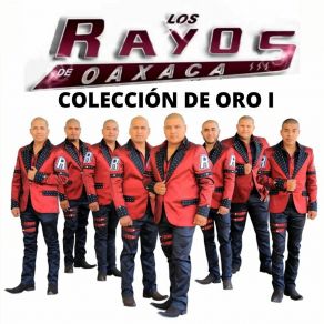 Download track El Pasito Alegre Los Rayos De Oaxaca