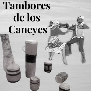 Download track Zapatea Pajarillo Tambores De Los Caneyes