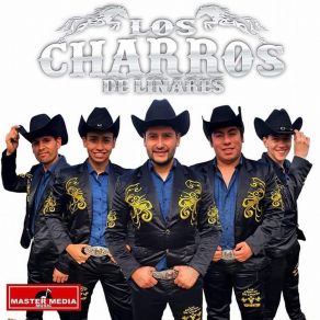 Download track Mix Animalito: El Animalito / La Reina Del Espacio Los Charros De Linares