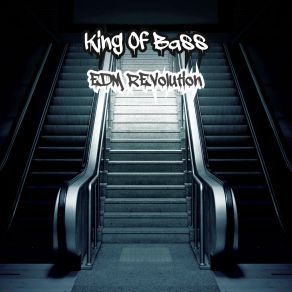 Download track Feeding The Soul King Of Bass