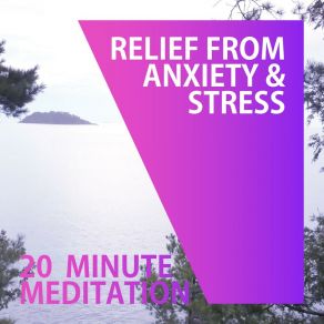 Download track 20 Minute Meditation Music (Relief From Anxiety & Stress) - Music Only Eastern ScienceSTRESS