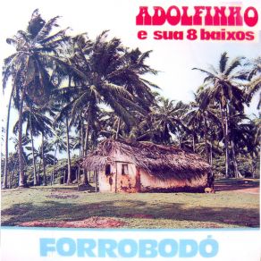 Download track Frevo Decente Adolfinho E Sua 8 Baixos