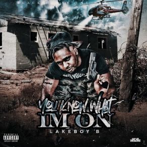 Download track Envy Me LakeBoyB