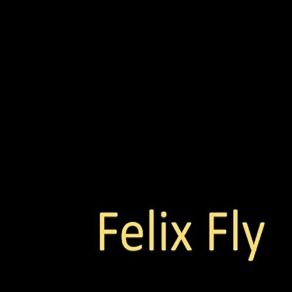 Download track Serves Me Right To Suffer Fly Felix