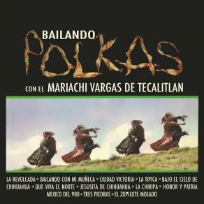 Download track Bajo El Cielo De Chihuahua Mariachi Vargas De Tecalitlán