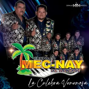 Download track Culebra Venenosa Grupo Mecnay De Nayarit