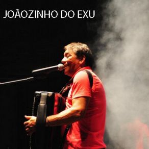 Download track Não Sei Se É Amor Ou Paixão Joãozinho Do Exu