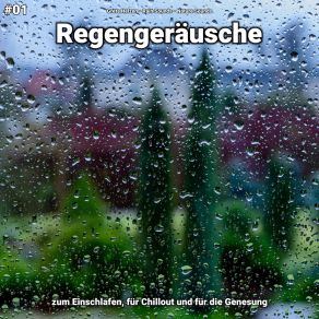 Download track Regengeräusche, Pt. 53 Nature Sounds