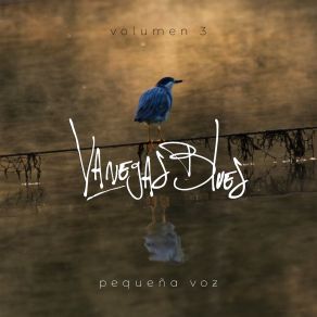 Download track De Pequeño Vanegas Blues