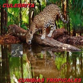 Download track Culebrita Cumbias Tropicales