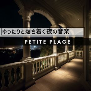 Download track The Pianist Takes A Chance Petite Plage