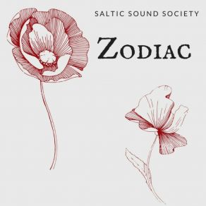 Download track You Have To Follow Me Saltic Sound Society