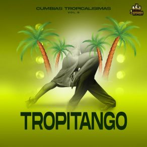 Download track No He Podido Olvidarte Tropitango