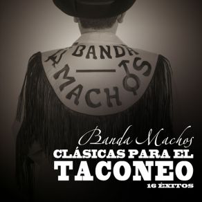 Download track Y La Quiere Paco Banda Machos